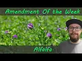 Amendment Of The Week Alfalfa - Great for Vegetative Growth