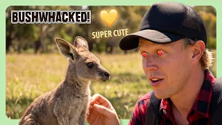 When Wild Animals Act Totally Cute 😍 | Bushwhacked!
