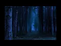 Download Lagu Forest Owl Crickets Sound for Sleeping | Jungle Ambience for Anxiety | 1 Hours Song Relaxing Gallery