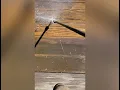 Deck Restoration - powerwash