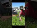 Saint Augustine grass mowing tips Florida Edition