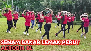 Download Senam Aerobik Body Language Mengecilkan Perut Untuk Pemula MP3