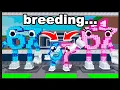 Download Lagu Steal a Brainrot, But I Can BREED Brainrots!