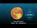 3D phenotype analysis system Product Introduction