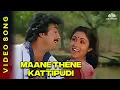 Download Lagu Maane Thene | மானே தேனே | Udaya Geetham Movie Songs | SPB | Revathi | Mohan #ilaiyaraajahitsongs