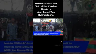 Haasaa Jaal Marroo Eebba Jajjabee Zoonii Lixaa Irratti 