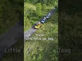 Download Lagu 📍Savana Baluran, Indonesia, Padang Savana dan Lautan menjadi Surga Wisata bagi Travelers ..