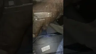                        دندنها