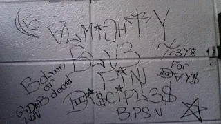 Blu Fin Black Disciples Gang History