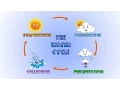 Lagu The Water Cycle- How rain is formed-Lesson for kids