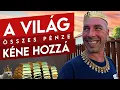 Download Lagu Életünk napjai SE 1 EP 40 - Gyertek táborozni és hozzatok Zolinak... valamit 😂😂