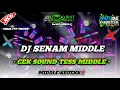 Lagu DJ SENAM MIDDLE CEK SOUND - ANS AUDIO - OBAT NGAMUK MUSIK