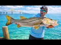I Went Looking For Tampa Bay s Hidden Fishing Spots