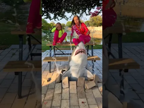 Don't go in the water #shark #fear #ocean