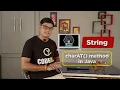 Java String charAt Method How to use string charAt in Java