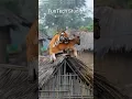 Download Lagu A Tiger holding Calf in its mouth on the roof of hut  in an Indian village #shorts #trending #tiger