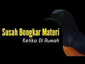 Lagu Susah Bongkar Materi Dirumah || Bengkel Murai Batu