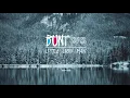 Download Lagu Mumford and Sons - Little Lion Man (BUNT. Remix)