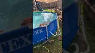 FIXED - Leaking hose fittings on above ground pool