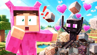 An Enderman Stole My Diamonds! | Minecraft Song | Eddie 's Rock Collection | Joy Joy World