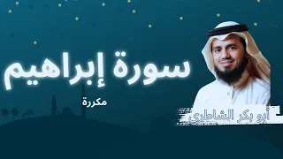 سورة إبراهيم مكررة القارئ أبو بكر الشاطري 