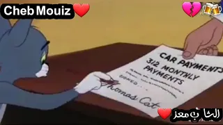 الشاب معز يعيا الشراب يسكر قصة طووم أتفرج ما تراطيش 