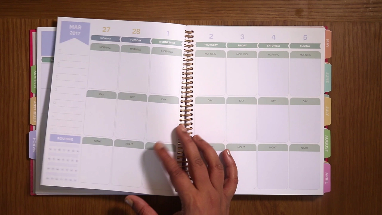 My 2017 Planner Setup | Flip Thru. 