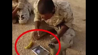 معك 10 ثواني تأكل فيها الصاعقه السعودية 