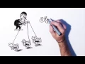 What is botnet and how does it spread