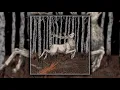 Download Lagu Olhava - Ladoga (Full album)