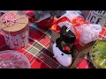 Cookie Exchange Cookie Swap Packaging Ideas