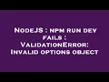 NodeJS npm run dev fails ValidationError Invalid options object