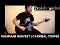Download Lagu Inhumane Harvest | Cannibal Corpse | GUITAR COVER