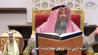 11 لماذا شب ه النبي ﷺ المنافق كالشاة العائرة عثمان الخميس 