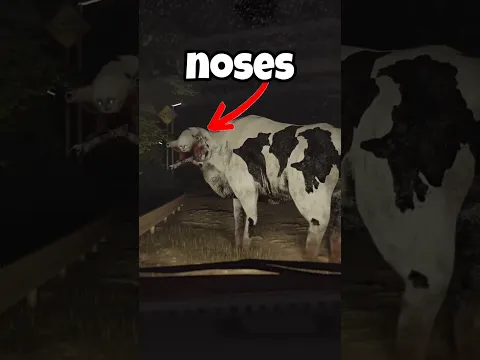 Animals With the Weirdest Noses #shorts #animals