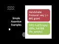Assertion-Based Verification