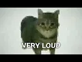 Download Lagu oiiaoiia spinning cat Sound Variations in 60 seconds