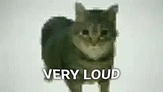 Oiiaoiia Spinning Cat Sound Variations In 60 Seconds  Oiiaoiia Spinning Cat Sound Variations In 60 Seconds