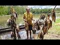 Download Lagu Luar biasa! Menjaring ikan nila dan sembilang dapat dua ratus ekor lebih || Merauke-Papua selatan