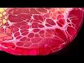 Download Lagu Fluid Art Swipe Technique: How to Get INSANE Cells with Only 3 Colours! 2 Coaster Challenge 🫟