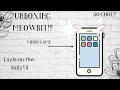 Unboxing Meowbit
