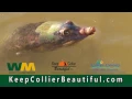 Waste Management Collier County KEEP COLLIER BEAUTIFUL
