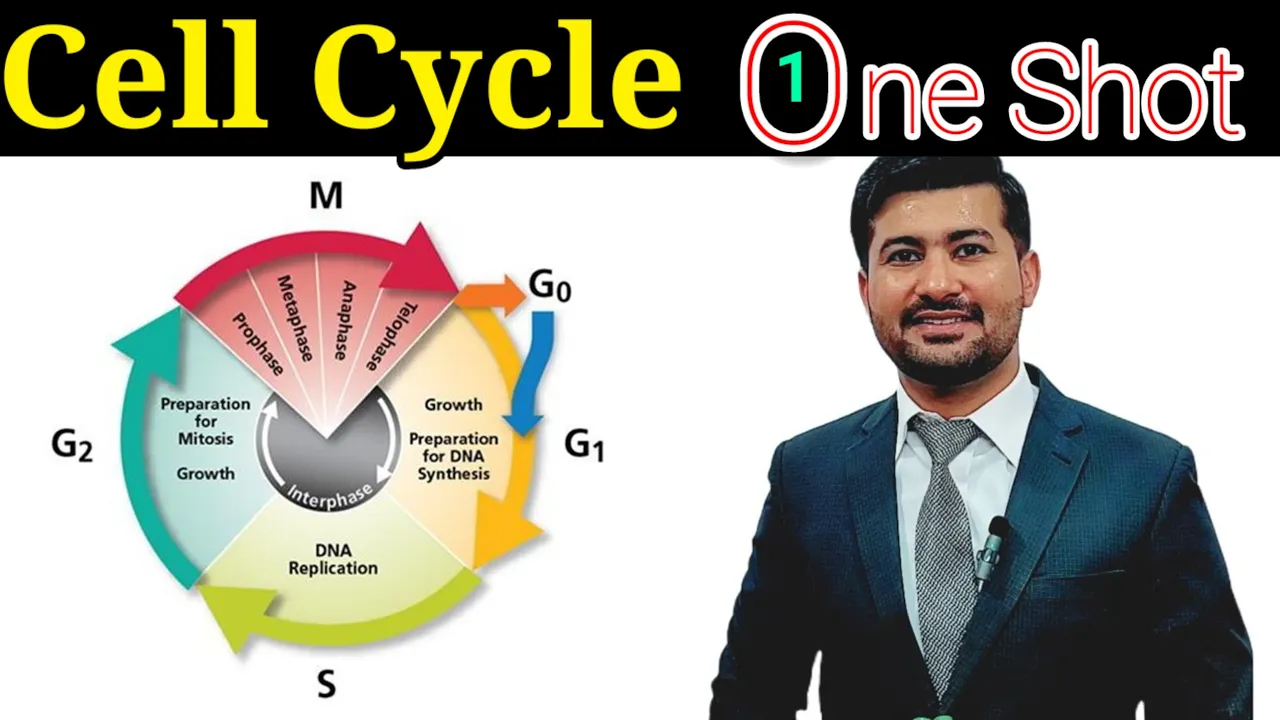 Cell cycle chapter 21 Fsc biology class 12 in one shot