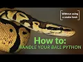 HOW TO HANDLE YOUR BALL PYTHON Without using a snake hook