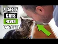 The 7 Acts of love your cat Hopes From You Throughout Their Entire Life