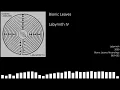 Bionic Leaves - Labyrinth IV