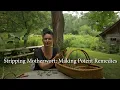 Motherwort Stripping Basic Technique for Making Potent Remedies