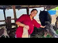 Download Lagu Mero bihan dekhi beluka sammako kam😊pure villagelife style#siruthapamagar#villagelife#vlog ￼￼￼￼