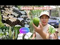 Download Lagu PANEN JAMUR PARE ALPUKAT DAN BUAH MONSTERA