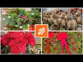 HOME DEPOT New Arrivals November Holiday Pots Christmas Decor Black Friday 2024